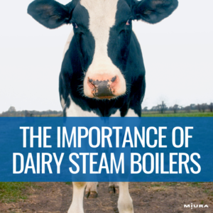 The Importance of Steam Boilers in Dairy Processing